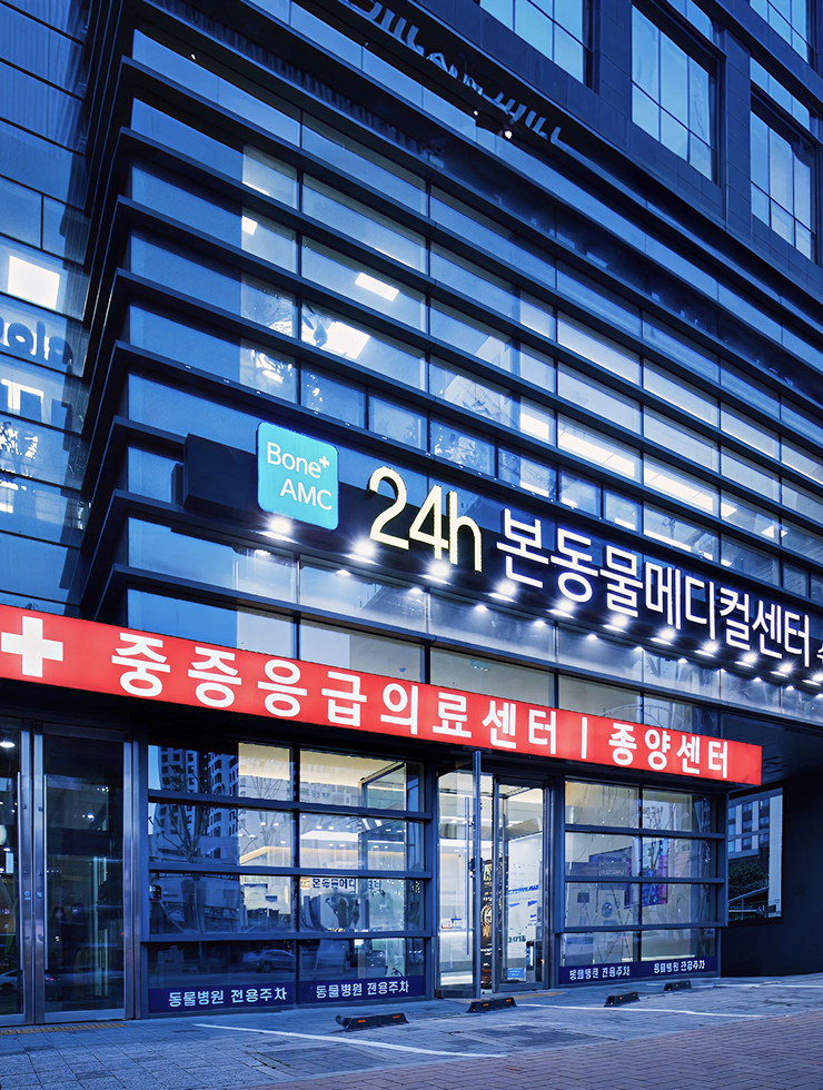 영상진단센터