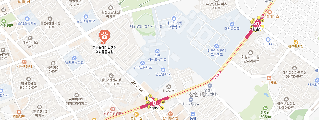 지도
